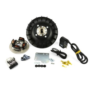 Accensione Flytech 1,6Kg Rally 180, Rally 200 Femsa