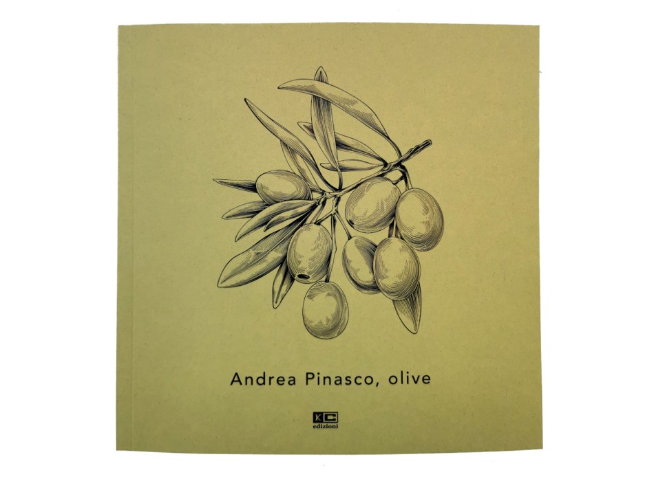 Biografia di Andrea Pinasco Olive