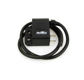 Centralina CDI Flytech