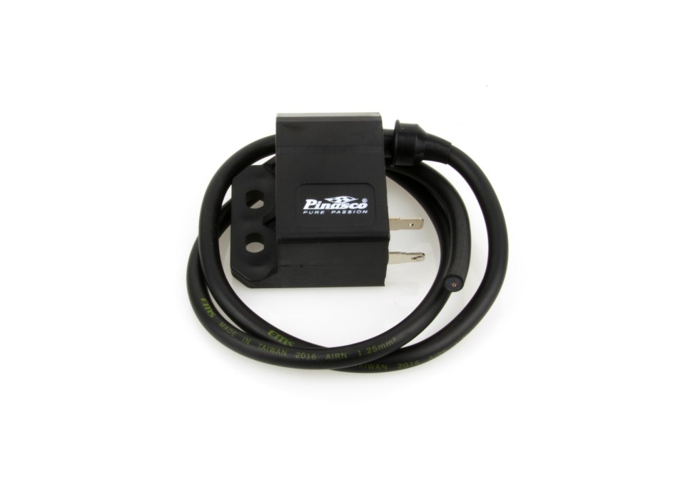 Centralina CDI Flytech