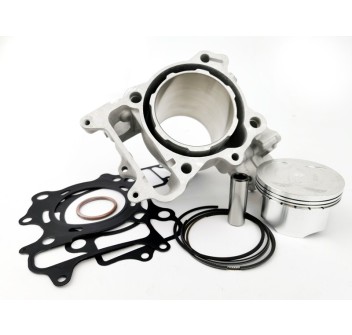 Gruppo Termico SH300 I.E. 340cc