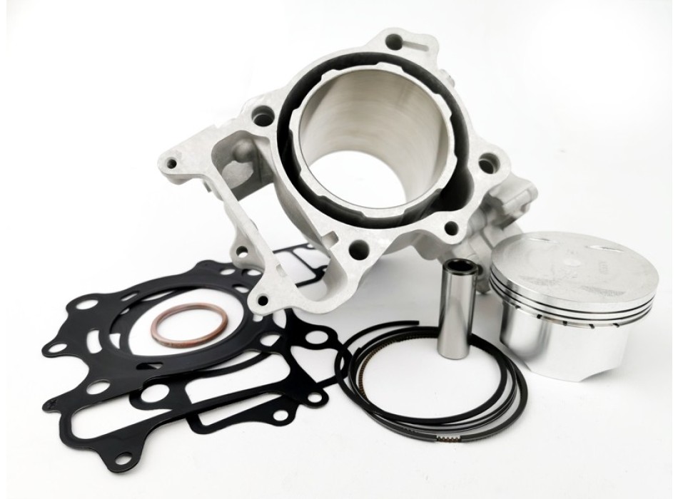 Gruppo Termico SH300 I.E. 340cc