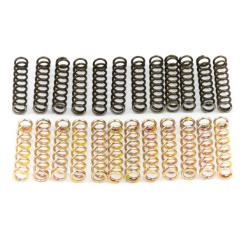 Kit Molle Ricambio Frizione Power Clutch 12 Molle