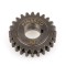 Pignone z24 (Corona z72)
