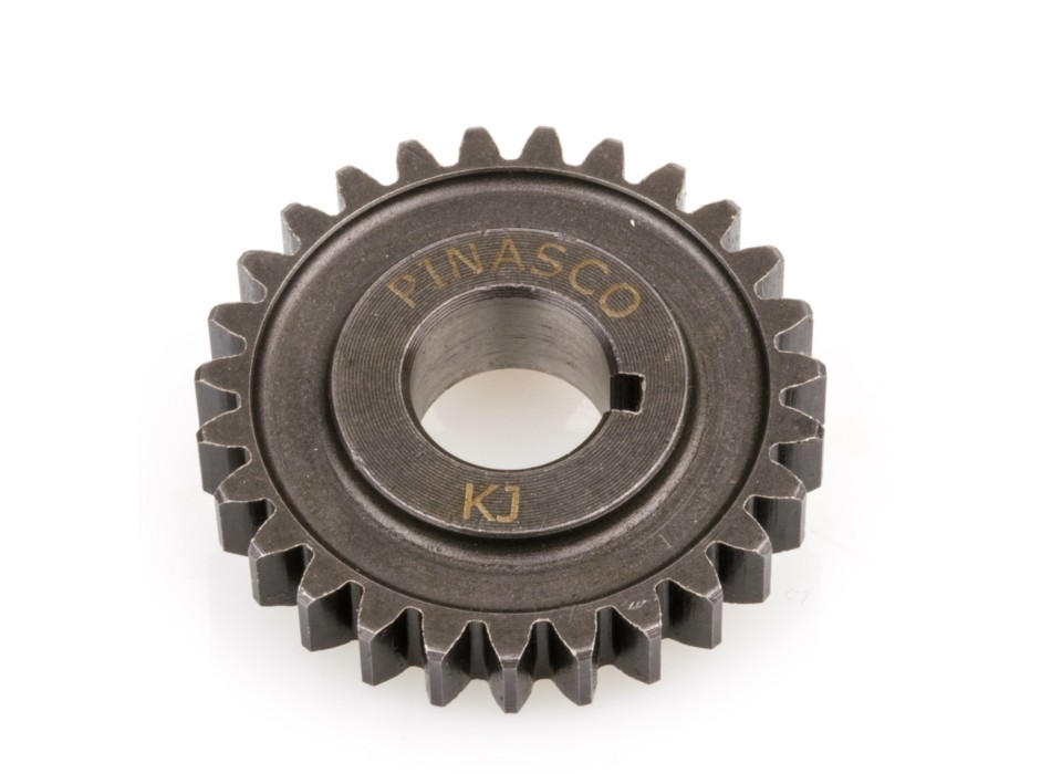 Pignone z27 (Corona z69)