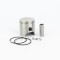 Pistone Completo Diam. 47mm 10040404-10040406