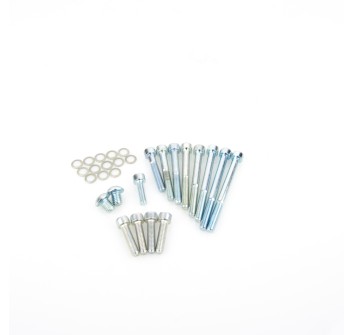 Serie Bulloni Carter Motore