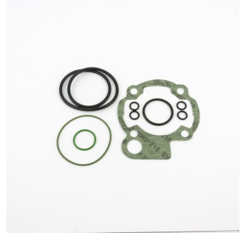 Serie Guarnizioni Gruppo Termico 10059909-10051909