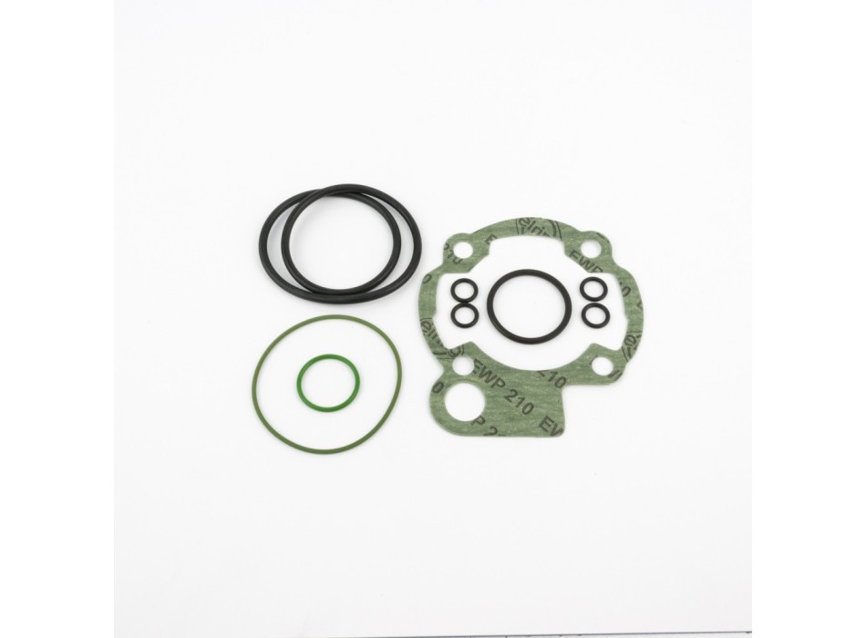 Serie Guarnizioni Gruppo Termico 10059909-10051909